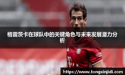 格雷茨卡在球队中的关键角色与未来发展潜力分析